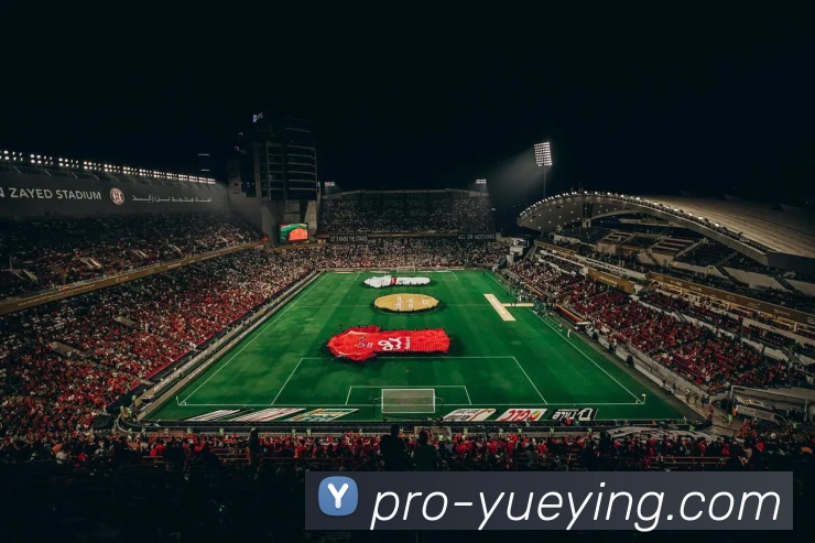 悦盈体育APP 封面图
